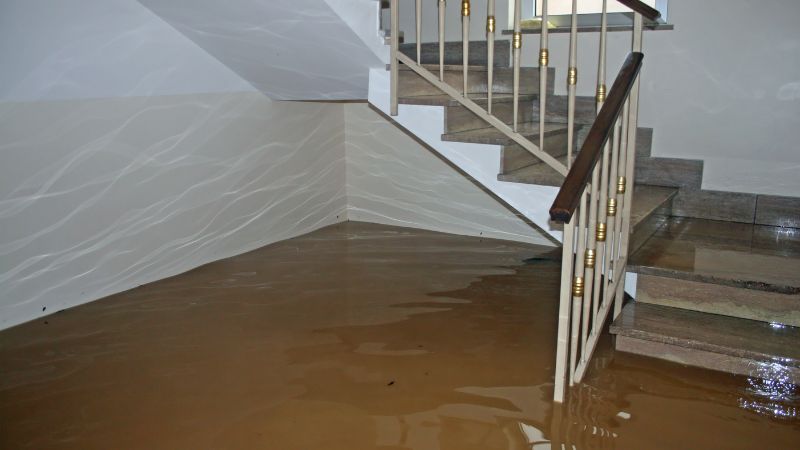 Restoration 365 - water and flood damage (3)