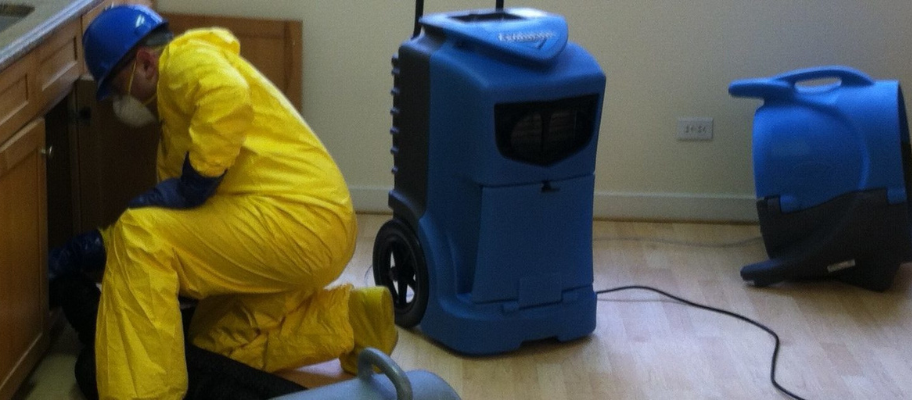Drying and Dehumidification Services