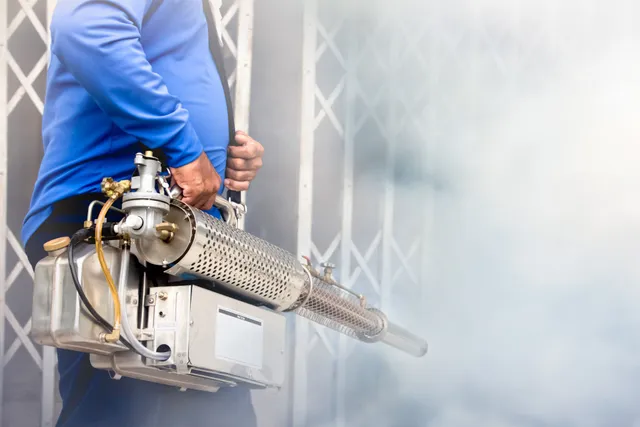 smoke odor removal and deodorization service